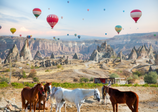 Kapadokya At Turu